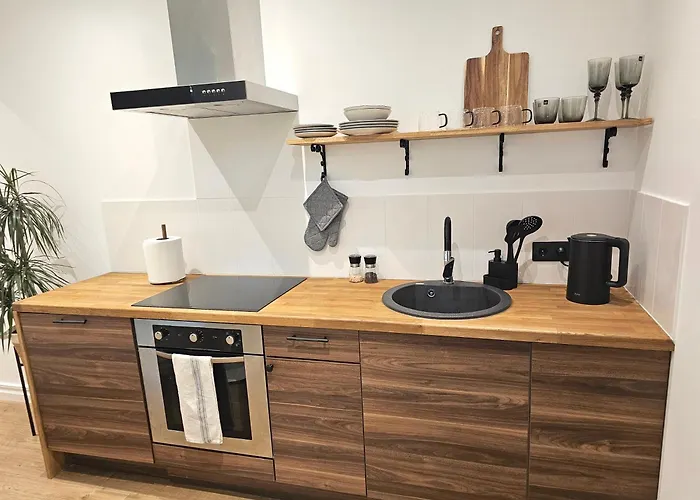 Dzīvoklis With A Fire-place *