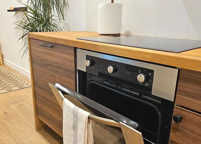 With A Fire-place Dzīvoklis Riga