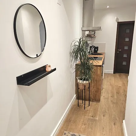 With A Fire-place Riga