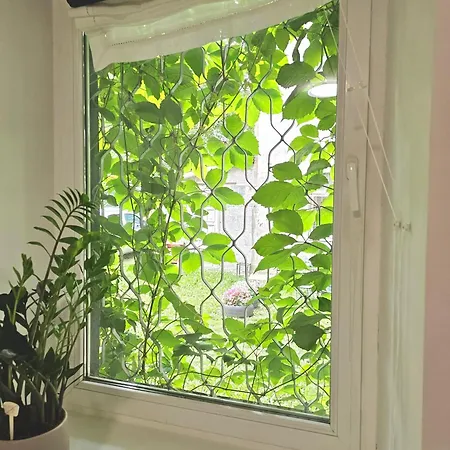 With A Fire-place Apartmán Riga