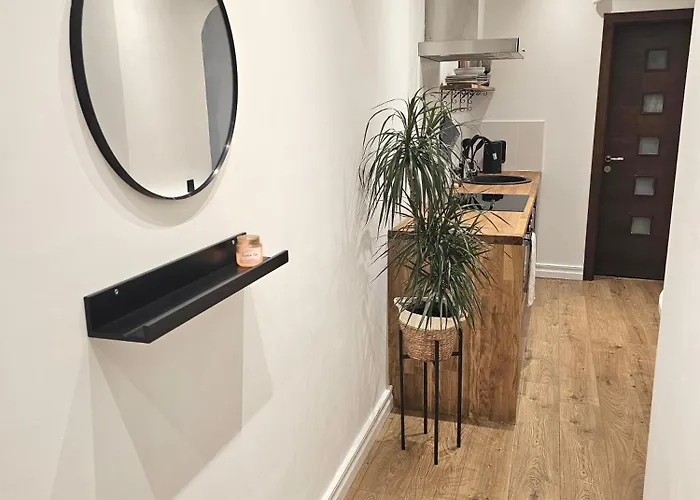 With A Fire-place Riga