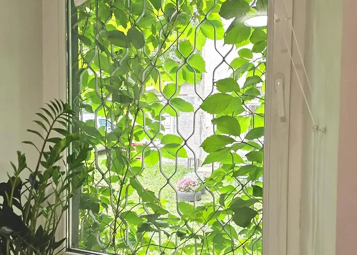 With A Fire-place Apartment Riga